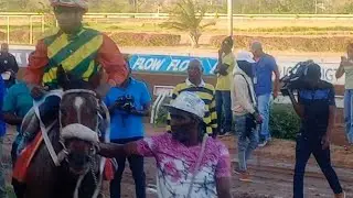 BARNABY CAPTURED THE IAN  LEVY CUP BOOKS HIS TICKET TO THE MOUTTET MILE