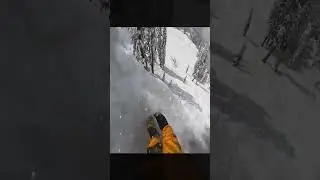 Ski Freedom #snowboarding #skiingadventures #mountains #skiadventure #ski #skiing