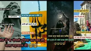 baba bhole  की एक से बढ़कर एक धांसू शायरी 🙏🙏❤️❤️ ।।