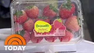 Mix Up Your Usual Shopping List With These New Supermarket Finds