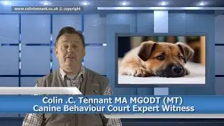 Colin Tennant MA  Dog Behaviourist Profile  TV