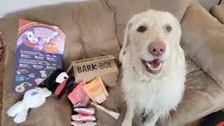 BARKBOX UNBOXING March 2021 MAGIC THEMED