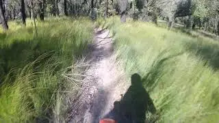 First ride after restoration 1984 XR350