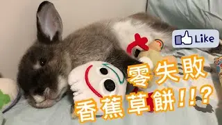 ［兔兔零食］兔奴必看!!零失敗香蕉草餅