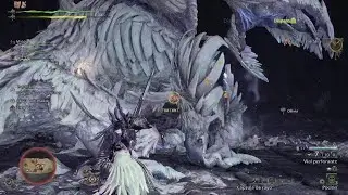 Monster Hunter Wilds_20260111224849