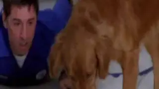 Dog ate Dan's new heart