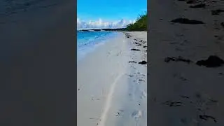 Песок Солнце Снег