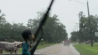 Rainy day driving to Hammond Louisiana...