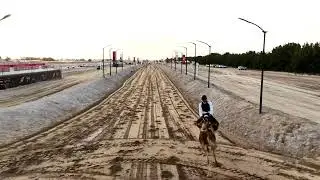 كاس فزاع للعرضة 2026