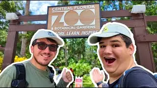 I Fed A Giraffe at the Central Florida Zoo! | Our First Visit & 50th Anniversary Celebration!