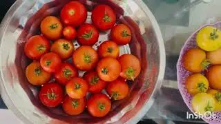 #terracegarden #organic #vegetables #harvest #మిద్దెతోటలో 