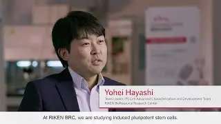 Meet our Authors from Japan &ndash; Communications Biology