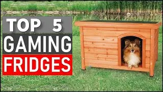 Top 5 Best Dog Houses in 2025
