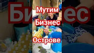 Сварили Зелье на Острове. Жизнь Налаживается #travel #trending #summer #cooking #relaxing
