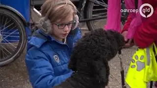 In Winterswijk zit elke dag een hond in de klas