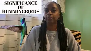 Hummingbird Spirit Guide| Connection to Mental and Emotional Health