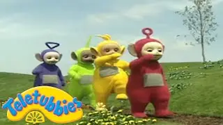 Teletubbies | A Big Day Out With The Teletubbies | Shows for Kids