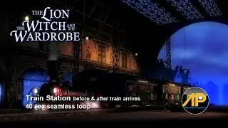 TRAIN STATION before & after train arrives 40sec seamless loop