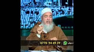 حكم قتل القطط وهل في ذلك كفارة؟ #الشيخ_شمس_الدين_الجزائري
