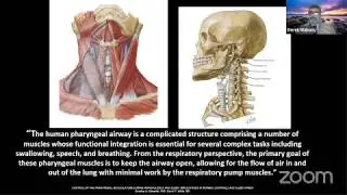 The role of Myofunctional Therapy in Dental Practice by Dr Derek Mahony