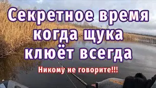 Секреты рыбалки на этой реке раскрыты! Мороз активизирует щуку на 100%
