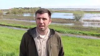 Yolo Bypass Wildlife Area flooded - first time since 2012
