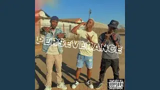 Perseverance