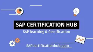 SAP Implementation methods & documentation