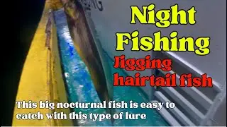 Night Fishing Jigging hairtail Fish. This big nocturnal fish is easy to catch with this type of lure