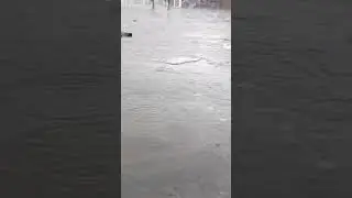 Rainy Weather Capture