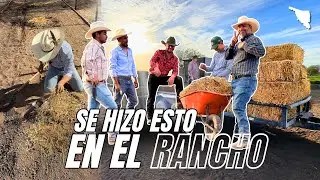 Con estas pacas de gavilla de trigo, hicimos estas cosas en el rancho.