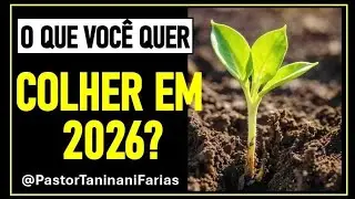 DEUS TEM GRANDES COLHEITAS PARA TE ENTREGAR EM 2026, PLANTE HOJE PARA COLHER AMANHÃ - ORAÇÃO TARDE