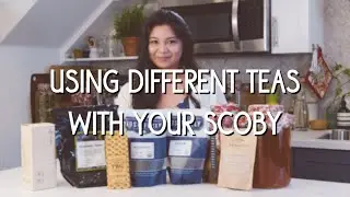 Использование разных видов чая с одним и тем же комбучей SCOBY