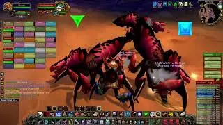 Temple of Ahn'Qiraj Hunter POV AQ40 World of Warcraft, 2K 60fps