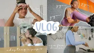 VLOG: at home brow lamination, adopting a puppy, new fav dinner..