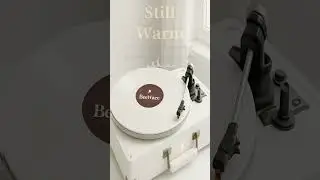 Still WARM | BeeWaee Shorts