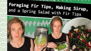 Foraging Fir Tips, Making Sirup & a Spring Salad