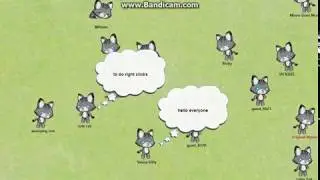 Meow playground
