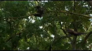 Live Action Izuna Drop - Ninja Gaiden's Ryu's Signature Throw in Action!