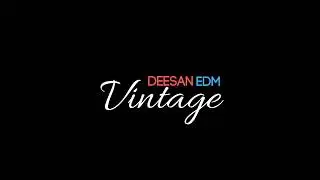 Deesan EDM - Vintage [Official music video | Pixel version]
