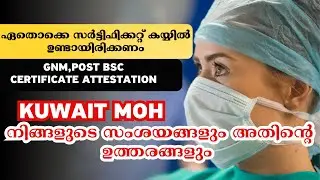 ഇതൊക്കെ കൈയിൽ ഇല്ലെങ്കിൽ പിന്നെ പണിയാവും | Kuwait MOH | Kuwait MOH Nurses News | Kuwait