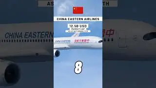 Top 10 Biggest Airline Companies #data #geography #learn #top10 #world #education #airlines