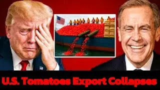 Canada&rsquo;s Ban CRIPPLES U.S. Tomato Exports &mdash; Mexico Emerges as the $12 Billion Winner!