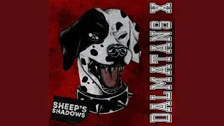 Sheep's Shadows