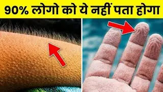 New Amazing Facts 😱