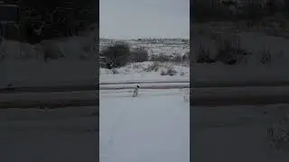репортаж снежного утра)