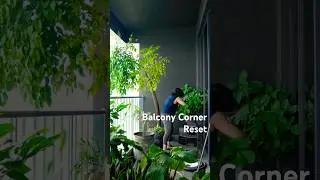 Reorganizing a Crowded Balcony Corner #shorts #reset