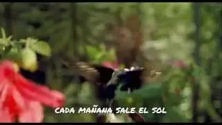 MUSICA ADVENTISTA-VASTAGOS-POR SIEMRPE DIOS