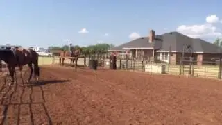 Carson and Doc score calf2 July 27, 2016