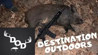East TEXAS HOG HUNTING at NIGHT!